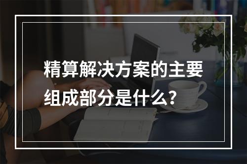 精算解决方案的主要组成部分是什么？