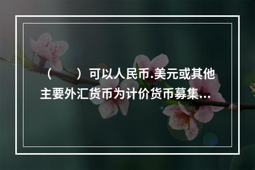 （　　）可以人民币.美元或其他主要外汇货币为计价货币募集。