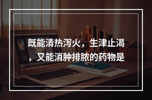 既能清热泻火，生津止渴，又能消肿排脓的药物是