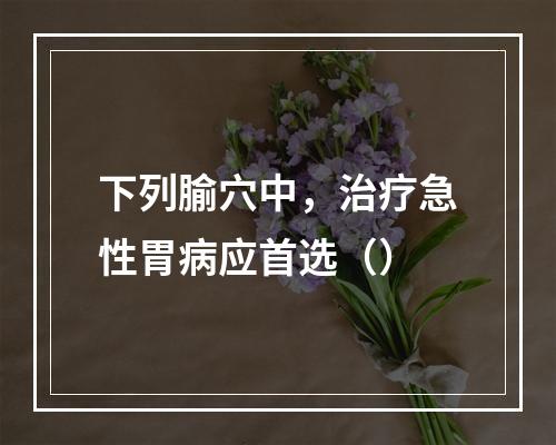 下列腧穴中，治疗急性胃病应首选（）