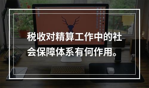 税收对精算工作中的社会保障体系有何作用。