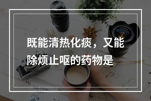 既能清热化痰，又能除烦止呕的药物是