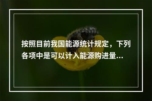 按照目前我国能源统计规定，下列各项中是可以计入能源购进量的是