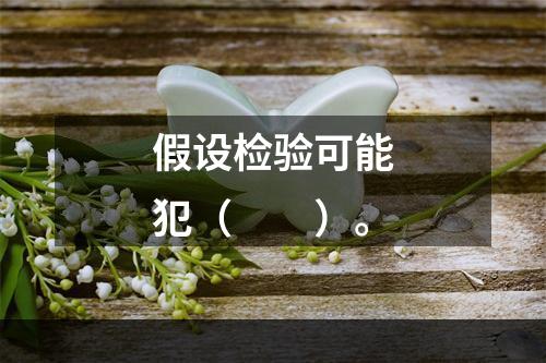 假设检验可能犯（　　）。