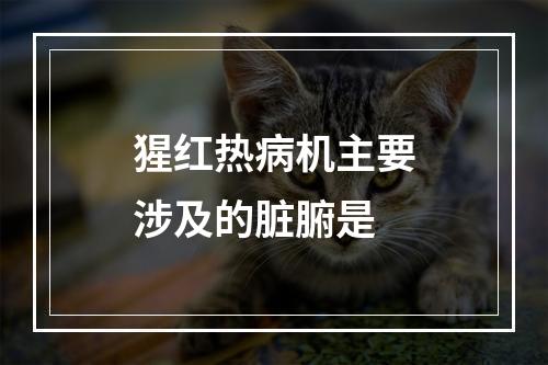 猩红热病机主要涉及的脏腑是