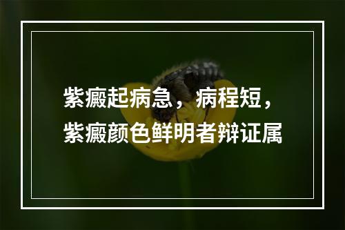 紫癜起病急，病程短，紫癜颜色鲜明者辩证属