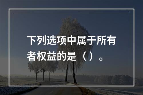 下列选项中属于所有者权益的是（ ）。