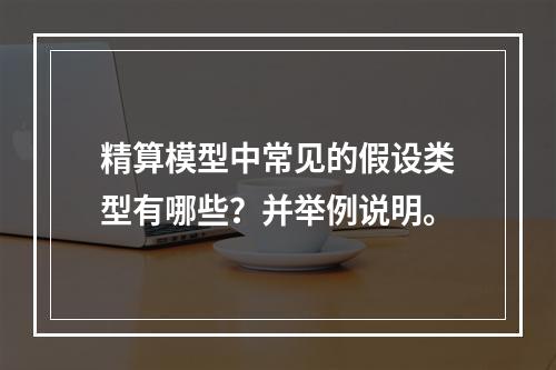 精算模型中常见的假设类型有哪些？并举例说明。