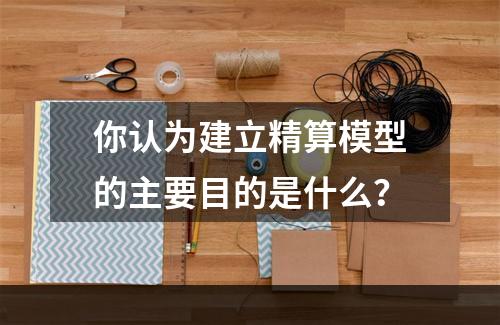 你认为建立精算模型的主要目的是什么？