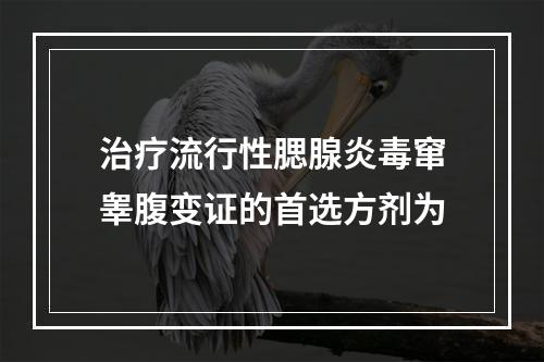 治疗流行性腮腺炎毒窜睾腹变证的首选方剂为