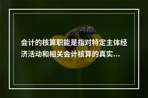 会计的核算职能是指对特定主体经济活动和相关会计核算的真实性、