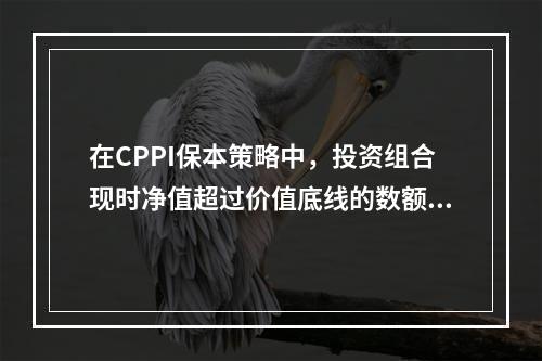 在CPPI保本策略中，投资组合现时净值超过价值底线的数额（安