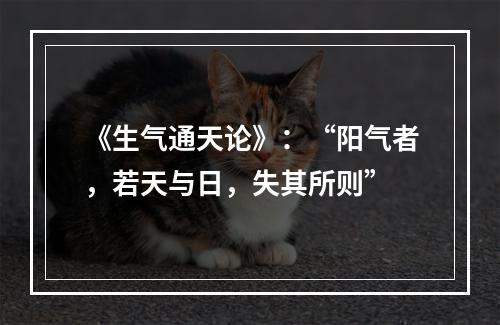 《生气通天论》：“阳气者，若天与日，失其所则”