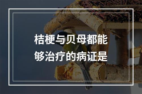 桔梗与贝母都能够治疗的病证是