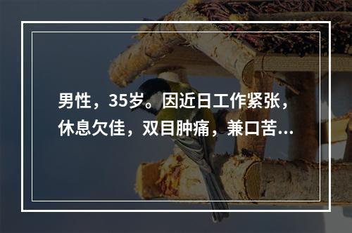 男性，35岁。因近日工作紧张，休息欠佳，双目肿痛，兼口苦，