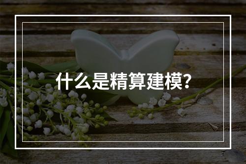 什么是精算建模？