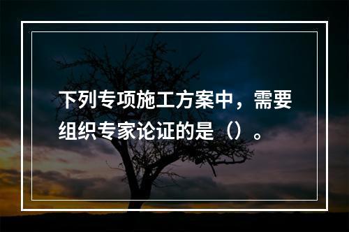 下列专项施工方案中，需要组织专家论证的是（）。