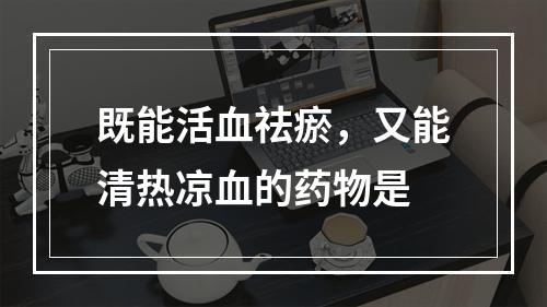 既能活血祛瘀，又能清热凉血的药物是