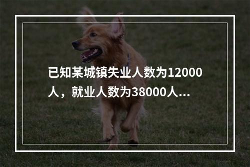 已知某城镇失业人数为12000人，就业人数为38000人，则