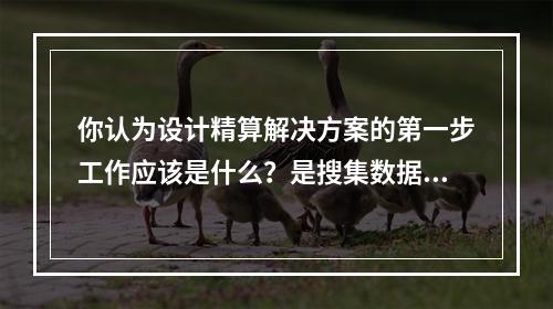 你认为设计精算解决方案的第一步工作应该是什么？是搜集数据、可