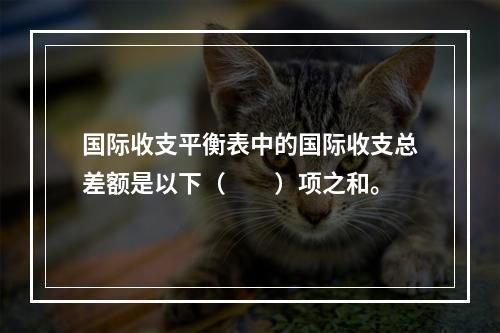 国际收支平衡表中的国际收支总差额是以下（　　）项之和。