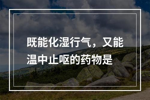 既能化湿行气，又能温中止呕的药物是