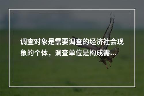 调查对象是需要调查的经济社会现象的个体，调查单位是构成需要