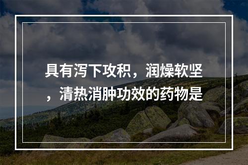 具有泻下攻积，润燥软坚，清热消肿功效的药物是