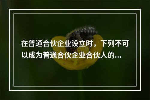 在普通合伙企业设立时，下列不可以成为普通合伙企业合伙人的有（