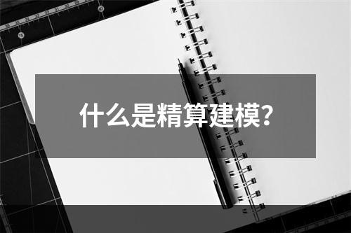 什么是精算建模？