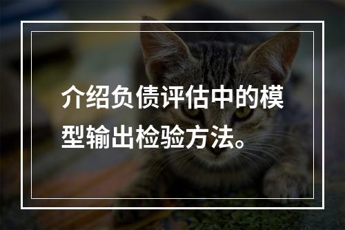 介绍负债评估中的模型输出检验方法。