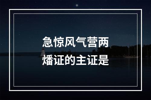 急惊风气营两燔证的主证是