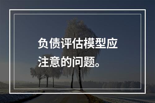 负债评估模型应注意的问题。