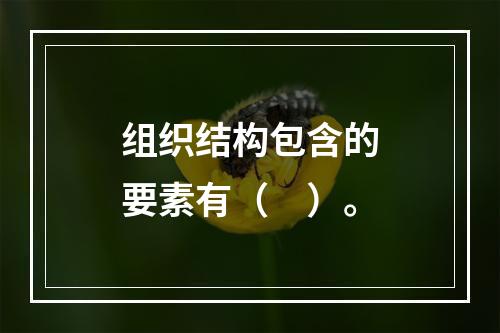 组织结构包含的要素有（　）。