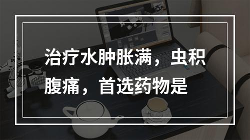 治疗水肿胀满，虫积腹痛，首选药物是