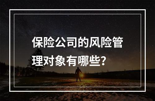 保险公司的风险管理对象有哪些？