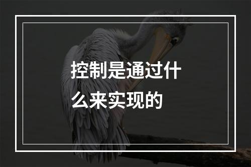 控制是通过什么来实现的