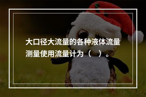 大口径大流量的各种液体流量测量使用流量计为（　）。