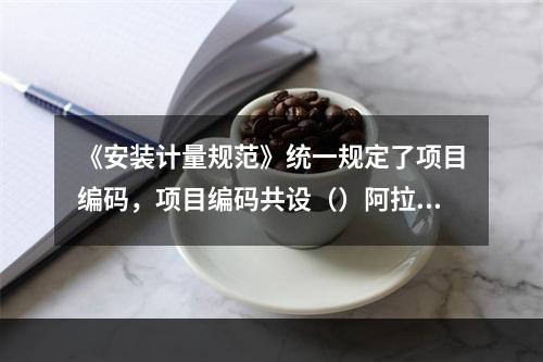 《安装计量规范》统一规定了项目编码，项目编码共设（）阿拉伯数