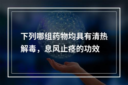 下列哪组药物均具有清热解毒，息风止痉的功效