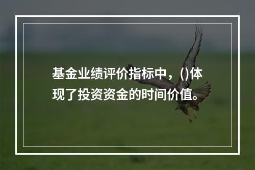 基金业绩评价指标中，()体现了投资资金的时间价值。