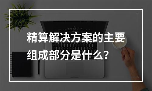 精算解决方案的主要组成部分是什么？