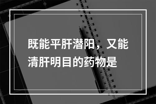 既能平肝潜阳，又能清肝明目的药物是