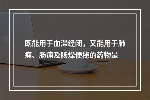 既能用于血滞经闭，又能用于肺痈、肠痈及肠燥便秘的药物是