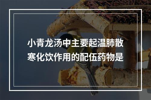 小青龙汤中主要起温肺散寒化饮作用的配伍药物是