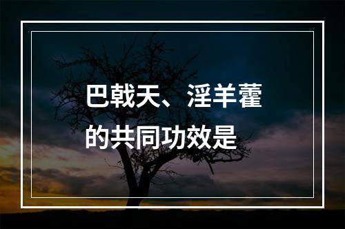 巴戟天、淫羊藿的共同功效是