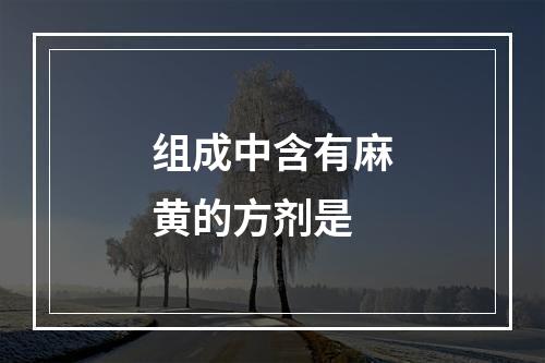 组成中含有麻黄的方剂是