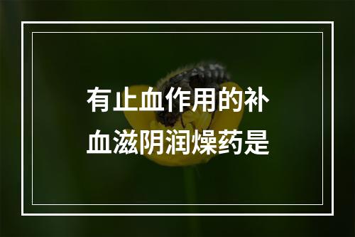 有止血作用的补血滋阴润燥药是