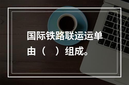 国际铁路联运运单由（　）组成。