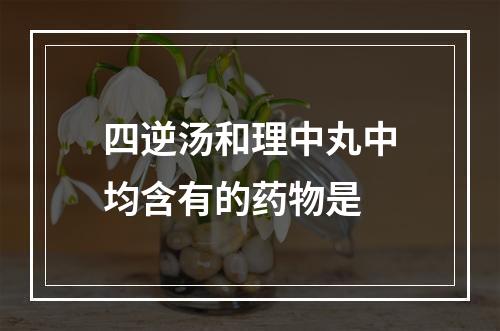 四逆汤和理中丸中均含有的药物是